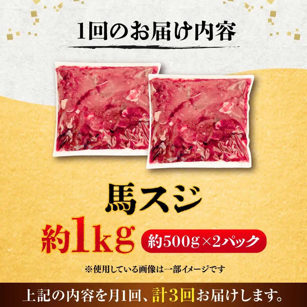 全3回定期便 馬スジ 約1kg 馬肉 馬肉 BHCY042
