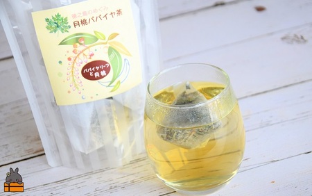 徳之島の癒しのリーフティー♪月桃パパイヤ茶（2g×20包） ( リーフティー 月桃 パパイヤ 癒し お茶 飲み物 香り 徳之島 奄美 鹿児島 美味しい スイーツ お料理 岡山食品 )