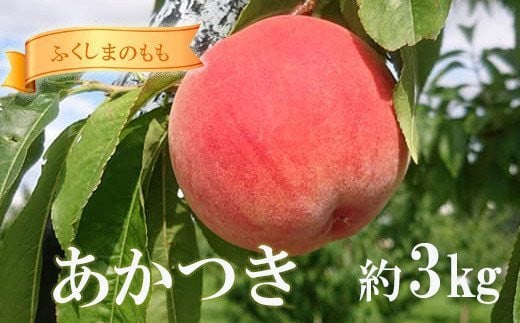 
            No.1881 すずき果樹園　もも　あかつき 約3kg【2025年発送】
          