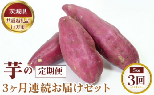 No.371 【先行予約】芋の3ヵ月連続お届けセット　約5kg×3回【茨城県共通返礼品 行方市】 ／ 旬 新鮮 さつま芋 サツマイモ 野菜 茨城県 特産品