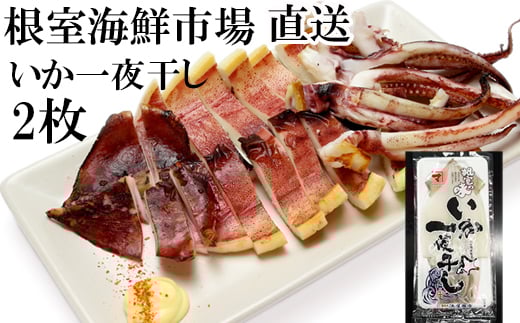 G-14079【年内配送可】 【北海道産】いか一夜干し2枚