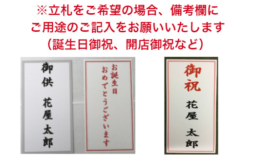 958.フォアスPREMIUM 胡蝶蘭 3本立ち42輪以上 白 (A958-1)