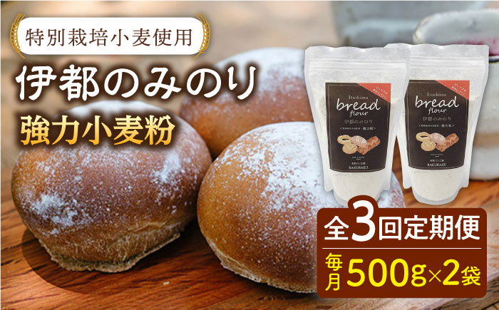 
                  【全3回定期便】特別栽培 小麦 使用 伊都 の みのり( 500g × 2袋 )糸島市 / 天然パン工房楽楽【いとしまごころ】 [AVC066]
                