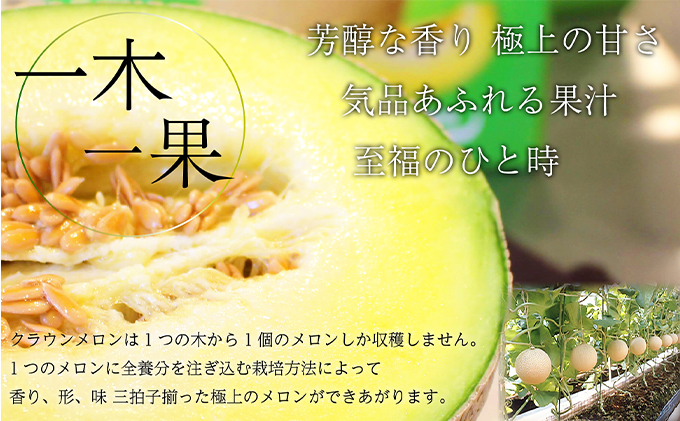 クラウンメロン 上（山等級）1.3kg前後 3玉 果物類 メロン青肉 フルーツ 果物