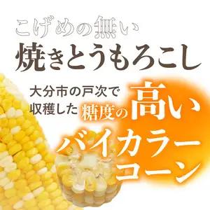 焼きの食感 こげめの無い焼きとうもろこし F08001