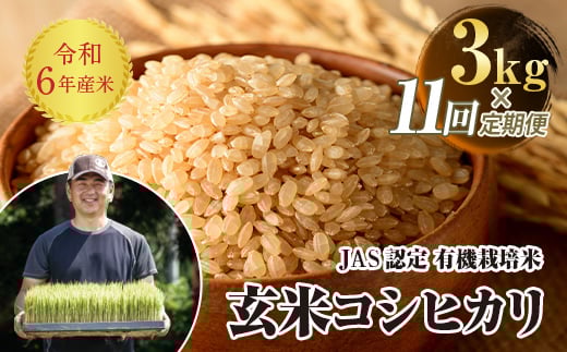 ＜定期便11ヶ月＞ JAS認定 有機栽培米 西会津産米コシヒカリ 玄米 3kg F4D-1265