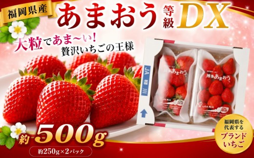 【先行予約】あまおう 等級DX 約250g×2パック 計約500g いちご 苺 果物 フルーツ【2027年2月上旬～3月下旬迄順次発送予定】