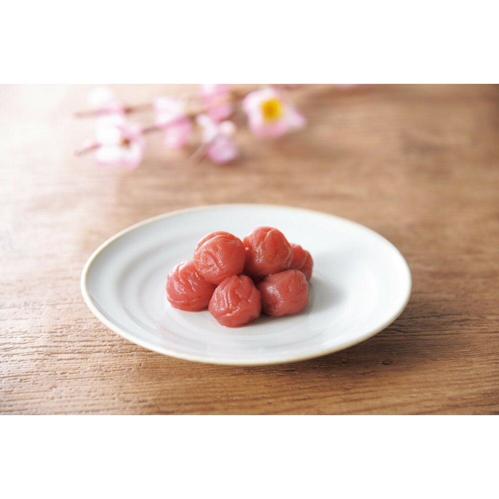 【ふるさと納税】梅の宴　小梅干　850g | うめぼし 梅干 塩分約6％ 調味梅干 贈答品 贈答用 ギフト うす塩味 極上 梅 うめ ウメ 家庭用 ご自宅用 神奈川県 小田原市