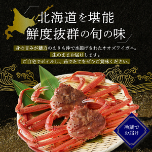 【2026年1月下旬以降発送】活オオズワイガニ3尾【えりも産】【er004-009-e】活 オオズワイガニ 1尾あたり  大ズワイ 大ズワイガニ ズワイガニ ズワイ かに 蟹 魚介 海鮮 新鮮 生 人