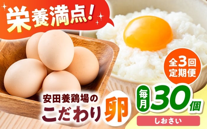 
            【全3回定期便】 安田養鶏場の卵 しおさい 30個入り 横須賀市 産地直送 たまご 黄身 濃厚 卵 玉子 タマゴ 鶏卵  【安田養鶏場】 [AKHN008]
          