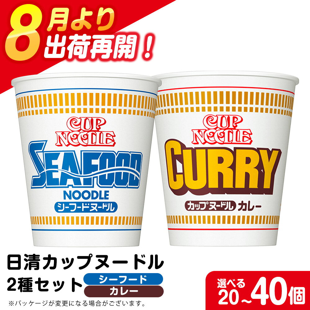 【ふるさと納税】 日清ヌードル2種セット シーフードヌードル・カレーヌードル 選べる各10食・各20食入 合計20食・40食 麺類 ラーメン麺 即席麺 麺類 ラーメン カップ麺 インスタント 麺類 カップラーメン 【北海道千歳市】ギフト ふるさと納税
