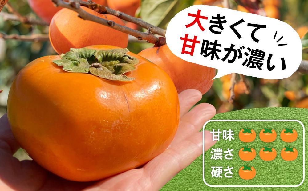 柿(種無し) 6個入 秀品大玉［2026年9月末頃より発送］［KT1］