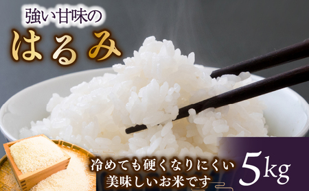 令和7年 新米 米 はるみ 5kg こめ 甘い ツヤ キヌヒカリ コシヒカリ kome  お米 白米 ご飯 ごはん 弁当 お弁当 おにぎり はくまい 美味い   精米 ブランド米 湘南生まれ 藤沢産  ランキング 最高評価 「 特A 」神奈川ワークショップ	 神奈川 湘南 藤沢