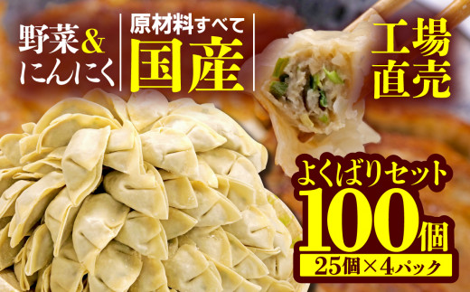 餃子 野菜 にんにく 100個 25個 4パック ジューシー セット ハーフ 冷凍 食品 小分け ガッツン餃子 松福 国産 豚肉 おつまみ