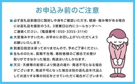 岡山県産 贈答用ニューピオーネ 2房（1房600g前後） 加温ハウス栽培 フルーツ ぶどう 葡萄 ひらた農園 2025年