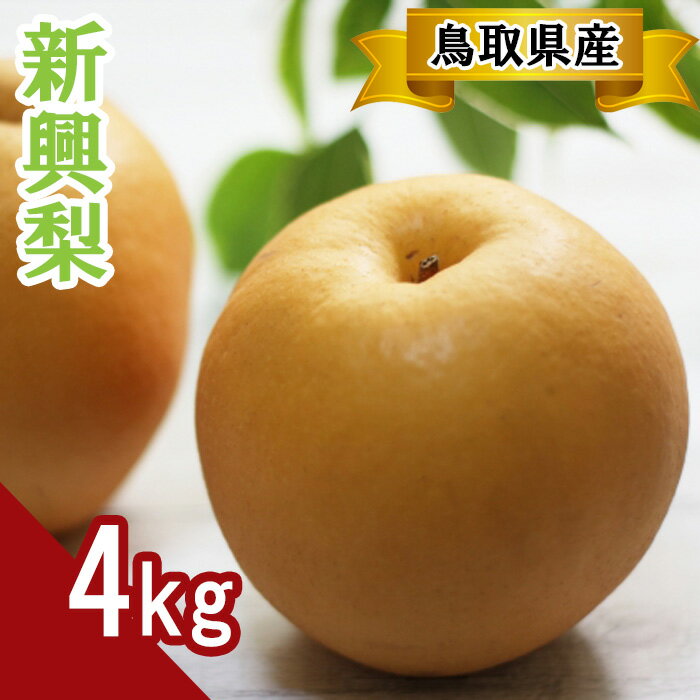 【ふるさと納税】 新興梨　4kg