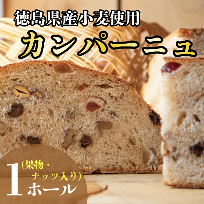 【ふるさと納税】 カンパーニュ 1ホール 果物 ナッツ入り パン 天然酵母 徳島県 阿波市 お米 の代わりに