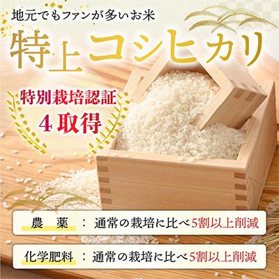 ふるさと納税 小浜市 令和6年産　特上栽培　[農家直送]特上コシヒカリ5kg×2袋　福井県小浜市「松のみどりの」 |  | 01
