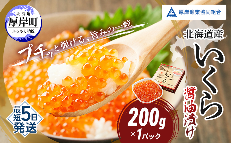 北海道産 いくら 醤油漬け 200g