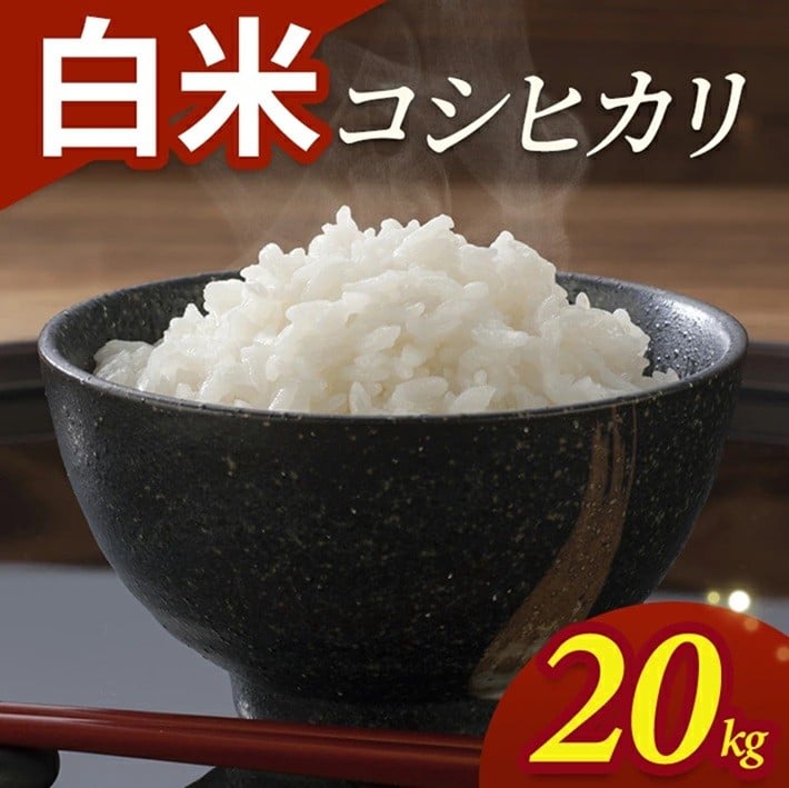 
                  令和7年産【白米】コシヒカリ　20kg(5kg×4袋) YA SF0351
                