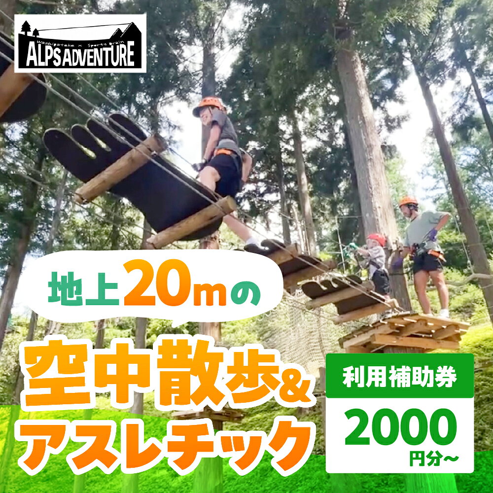 【ふるさと納税】アルプスアドベンチャー利用補助券 2000円 4000円 5000円 宿泊補助券 アスレチック アウトドア キャンプ 鷲ヶ岳スキー場 ジップライン アクティビティ 郡上市 岐阜県