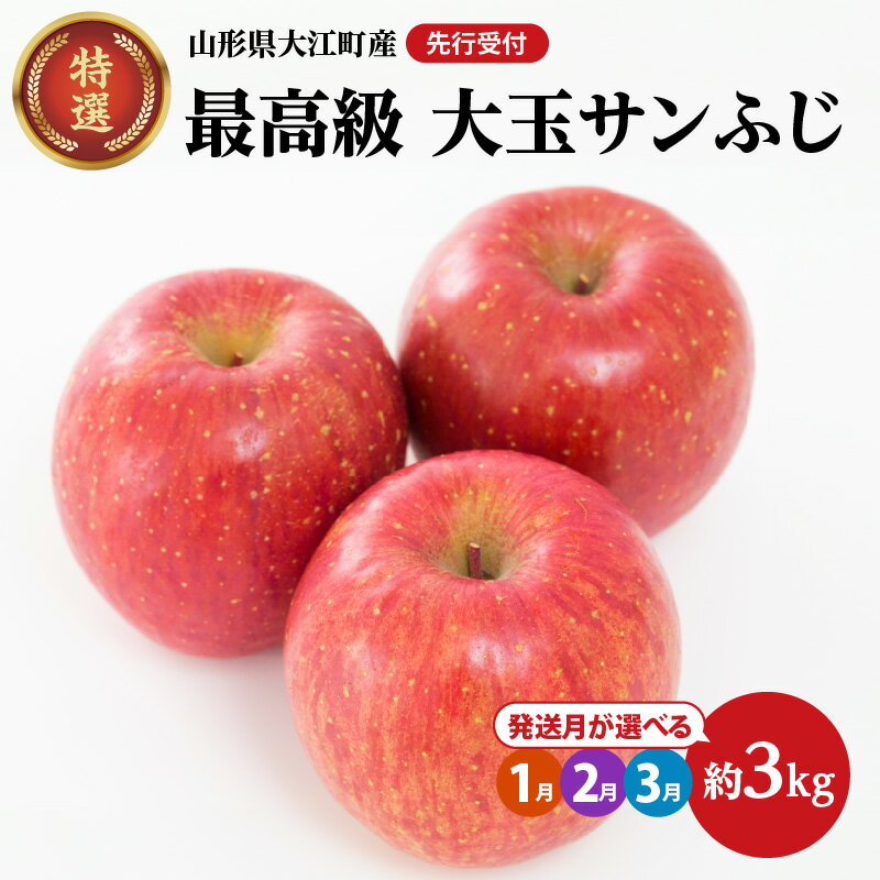【ふるさと納税】《先行受付》選べるお届け時期【2026年1月～3月発送予定】 最高級 特選大玉サンふじ約3kg【大江町産・山形りんご・大地農産】