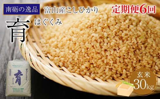 【令和7年産】定期便・隔月６回  富山県産こしひかり 育（はぐくみ）玄米３０kg《南砺の逸品》