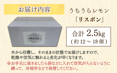 【先行予約】日本海で育ったうちうらレモン「リスボン2.5kg」皮まで丸ごと食べられます！【2026年12月下旬より順次発送】