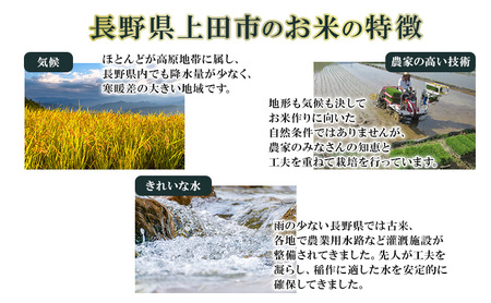 米 令和7年産 長野 風さやか 6kg （2kg×3個） 小分け お米 こめ コメ 新米 白米 精米 オリジナル米 ブランド米 かぜさやか 信州 上田市