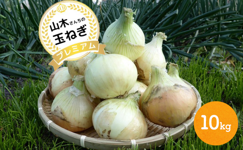 山木さんちのプレミアム新玉ねぎ 10kg 兵庫県 洲本市 淡路島