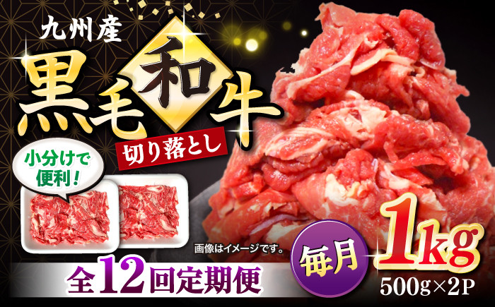 【12回定期便】【小分けで使いやすい】九州産黒毛和牛 切り落とし 計12kg（約1kg×12回） ＜宮本畜産＞ [CFA007]