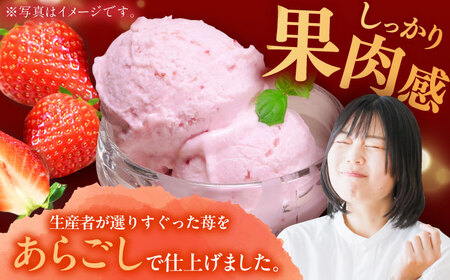 【先行予約】苺好きが夢中！THE ICHIGO  苺感たっぷりプレミアム苺アイスクリーム  計8個 / いちご イチゴ アイス デザート / 佐賀県 / さかもとさんの畑［41ABAA018］ストロベ