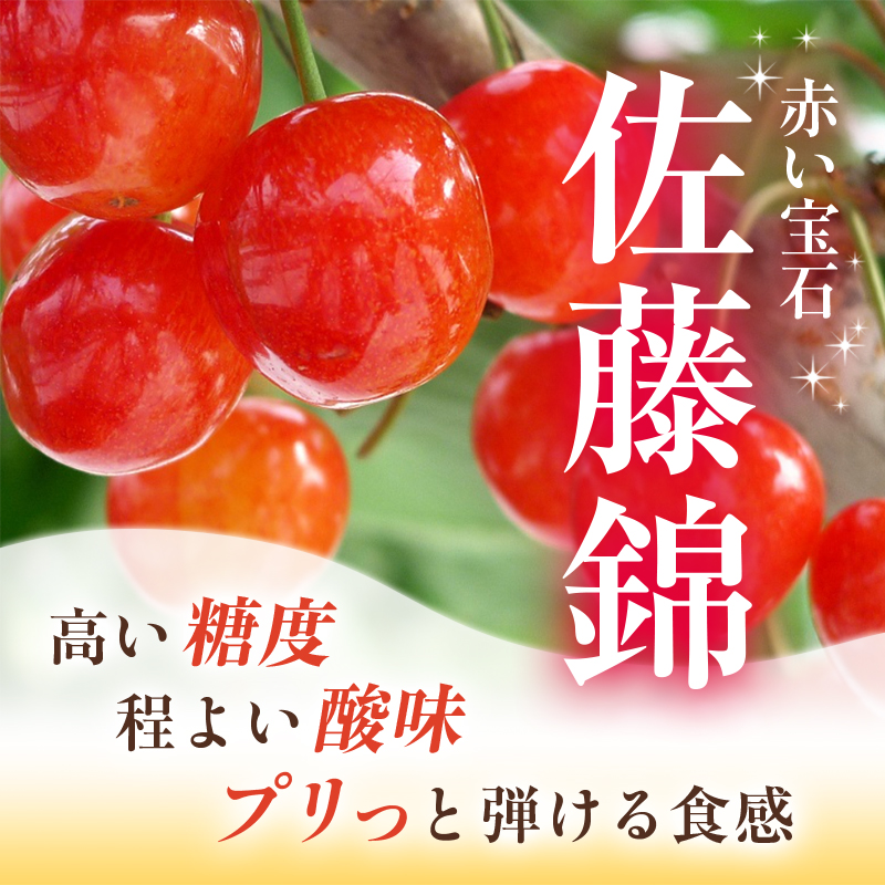 [2026年発送] さくらんぼ  佐藤錦 Lサイズ以上 300g（300g×1パッ