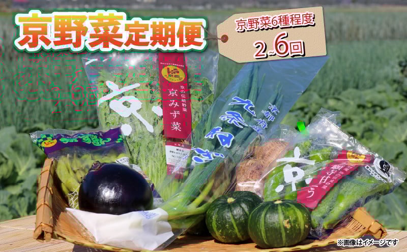 
            【 選べる 定期便 】 京野菜 野菜 6種 程度 定期便 2回 4回 6回 12回 野菜 詰め合わせ 野菜 京都 野菜セット 季節 旬 栄養食 栄養野菜 九条ネギ 野菜 万願寺 野菜 賀茂なす 野菜 京都府産 野菜 数量限定 野菜 冷蔵 サラダ 健康
          