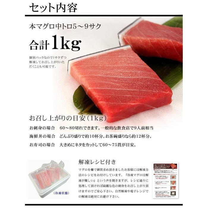 【定期便/隔月/計3回】本マグロ中トロ1kg（計3kg）【DG006-tk3】|いわき市 ふるさと納税 株式会社東日本貿易 鮪 本鮪 本まぐろ マグロ トロ とろ 刺し身 さしみ さかな 海鮮 寿司 
