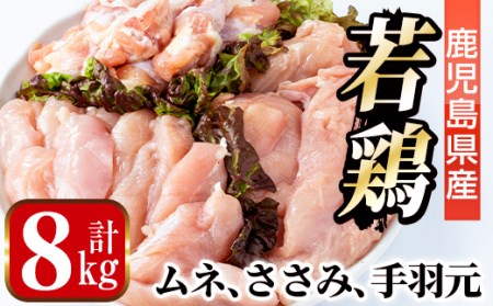 若鶏 ムネ肉 手羽元 ささみ 計8kg 鶏肉 詰め合わせ セット 【まつぼっくり】 i449