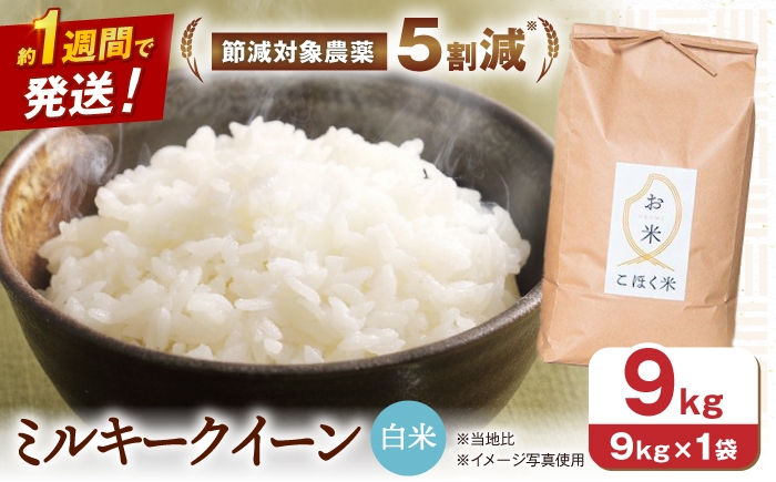 
                  【スピード発送】【令和8年産 新米】米 ミルキークイーン 9.0kg (白米) 長浜市/株式会社エース物産[AQAK012] 米 お米 ご飯 ごはん ゴハン 近江米 滋賀県産 長浜市産 こめ 白米 精米 お米  食品 国産 炊きたて 米ギフト もちもち ブランド米  食卓 美味しい 産地直送 人気 ごはん ご飯 おにぎり 炊き込みご飯 おすすめ プレゼント 贈答
                