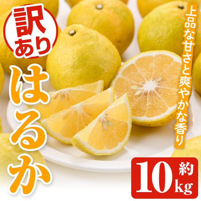 ＜先行予約受付中！2027年2月上旬以降順次発送予定＞訳ありはるか(約10kg) 国産 鹿児島県産 果物 フルーツ 柑橘 みかん はるか【松永青果】akn053-45