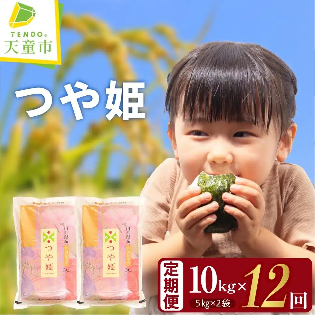 つや姫 定期便 ( 5kg × 2袋 ) 12回 令和8年産 米 精米