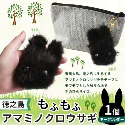 ふるさと納税 天城町 もふもふアマミノクロウサギキーホルダー アマミノクロウサギ うさぎ キーホルダー 徳之島 天城町