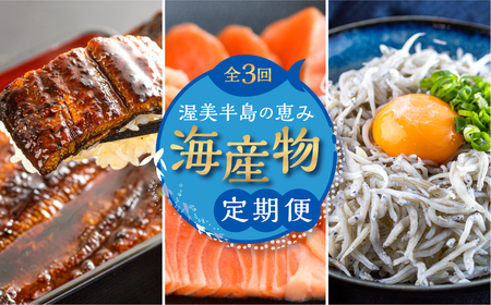 【定期便】海産物 定期便 3回 海鮮 ( うなぎ / しらす / サーモン) 
