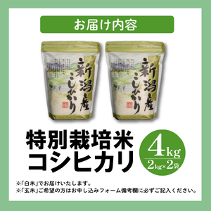 令和5年産 特別栽培米コシヒカリ 2kg×2袋　【 新潟県産 新発田産 コシヒカリ 特別栽培米 しばもん 2kg 2袋 4kg D31 】