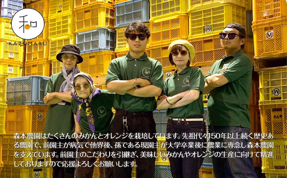 訳あり 森本農園の手選別 甘夏みかん 約8kg 和歌山県産 サイズ混合 ［北海道・沖縄・離島配送不可］［2026年4月上旬から順次発送］［RN75］