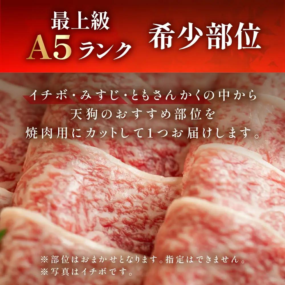 飛騨牛 希少部位 おまかせ1種 530g いちぼ みすじ ともさんかく【11-1019】