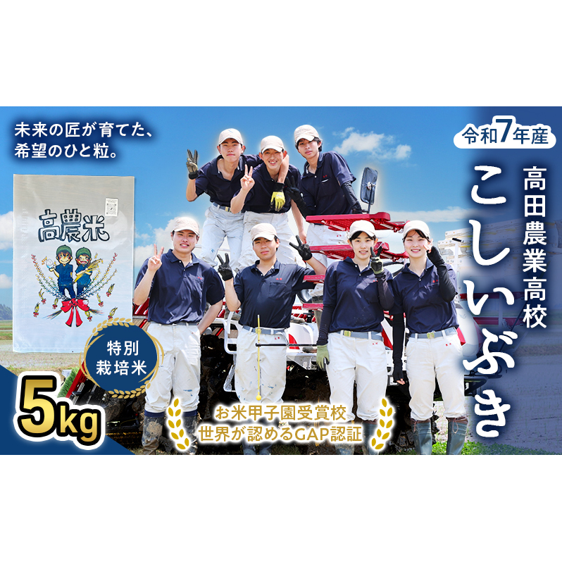 【未来の農業者を応援】高田農業高校の生徒が育てた「高農米」 令和7年産 特別栽培米 こしいぶき 5kg 5キロ 新潟県産 上越市