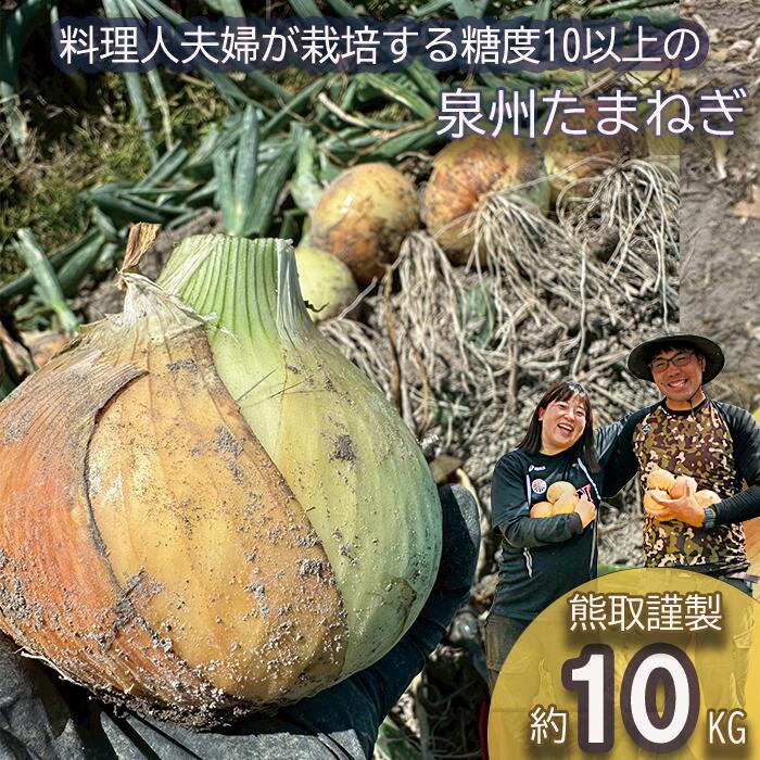 【ふるさと納税】＜2026年5月中旬順次発送 先行予約＞岸上農園　泉州玉ねぎ　約10kg（043_5002）
