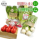 【ふるさと納税】 トマト 約1kg 有機野菜 おまかせ 4種 セット 新鮮 野菜 明野とまと 九州屋ファーム 山梨県 北杜市 仕送りギフト