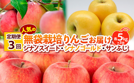 【定期便3回】 人気の無袋栽培りんごお届け 各5kg×3回(シナノスイート、シナノゴールド、サンふじ)  FY25-014