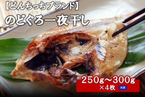 【どんちっちブランド】 のどぐろ一夜干し（２５０g～３００gｘ４枚） 海鮮 魚介類 のどぐろ アカムツ 一夜干し 干物 【1835】