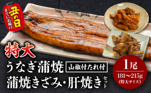 《丑の日までにお届け予定(7月1日～7月19日)》国産うなぎ蒲焼(特大サイズ)・きざみ・肝焼きセット_M069-014_01-U1